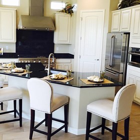 Assisted Living Arizona: TBI CARE INC